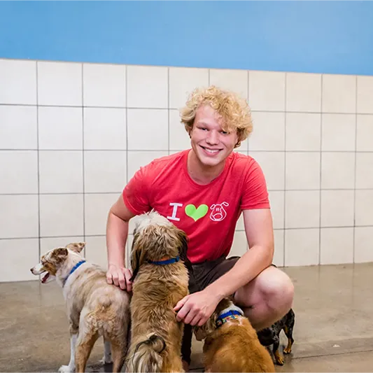 A Mud Puppies employee smiles with three small dogs around him