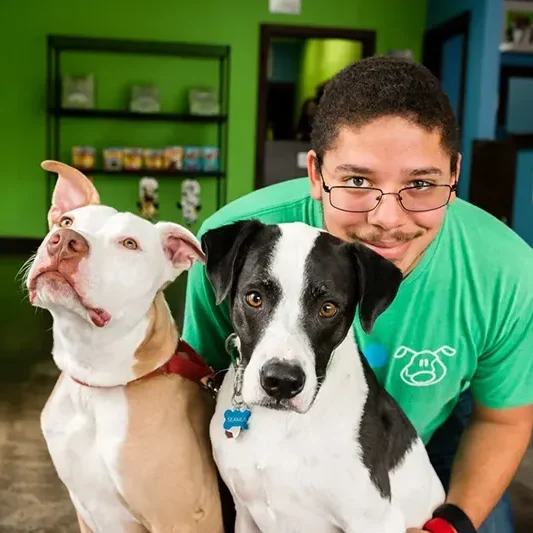 An employee smiles while cuddling two dogs inside of Mud Puppies