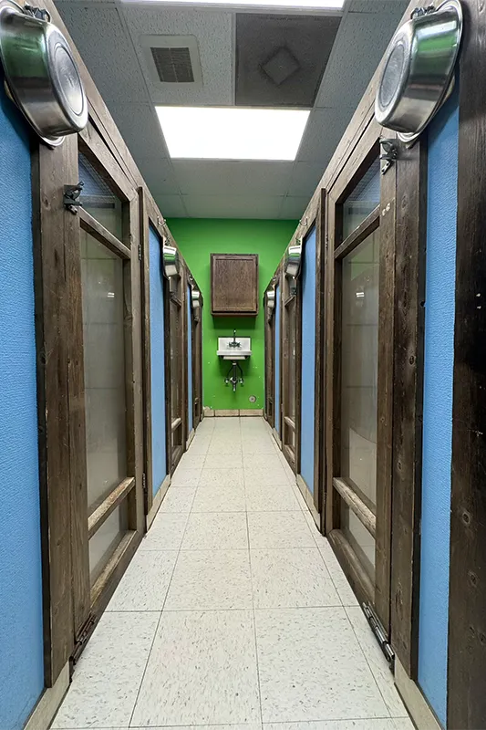 Mud Puppies boarding kennels