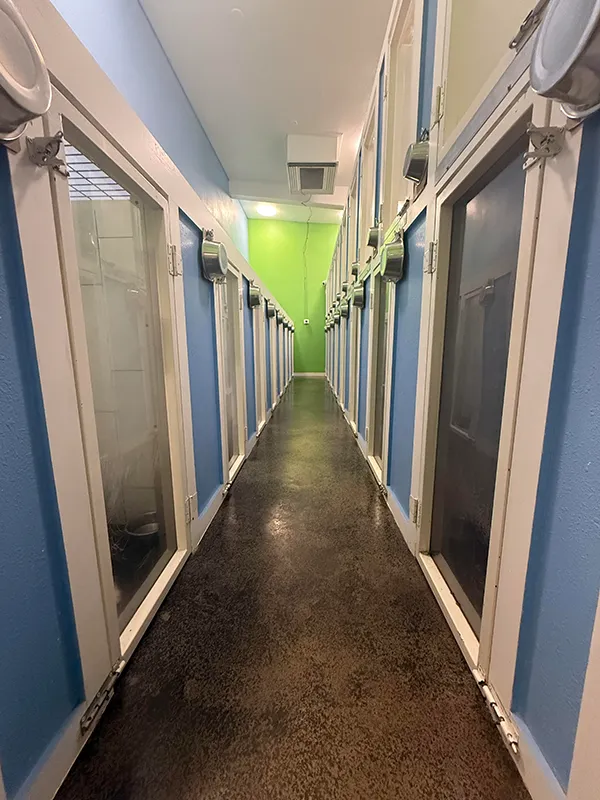 Lined up boarding bunks